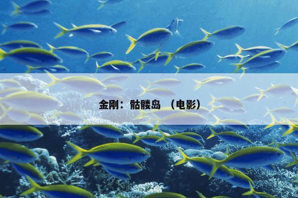 金刚：骷髅岛 （电影）