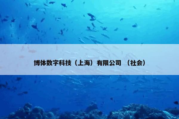 博体数字科技（上海）有限公司 （社会）