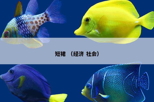 短裙 （经济 社会）