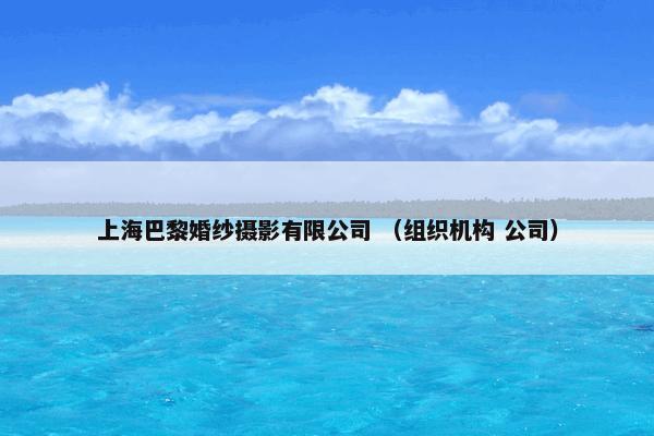 上海巴黎婚纱摄影有限公司 （组织机构 公司）